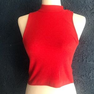 Turtle neck cropped top